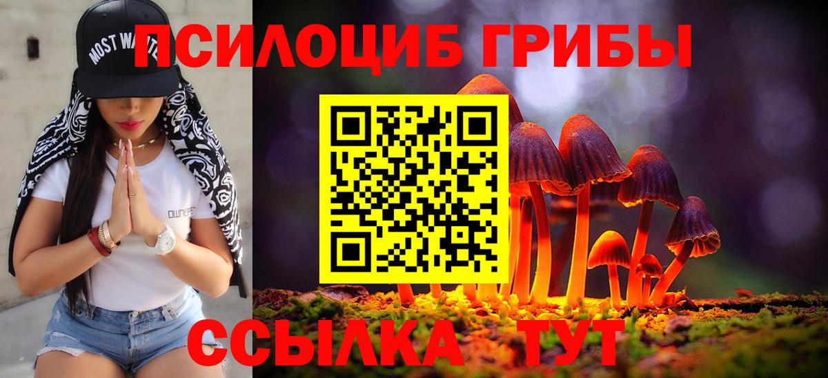 закладка  Галлюциногенные грибы ЛСД  Вход с VPN  Дедовск 